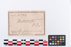 Etikett zu Bronzebuckelarmreif (NHMW-PRAE-035782)